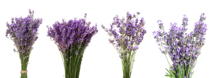 Image of Bundles of lavender flowers isolated on white, set