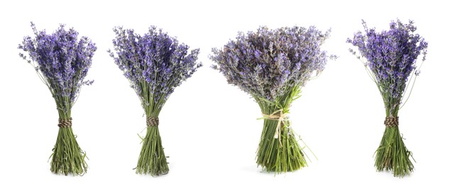 Image of Bundles of lavender flowers isolated on white, set