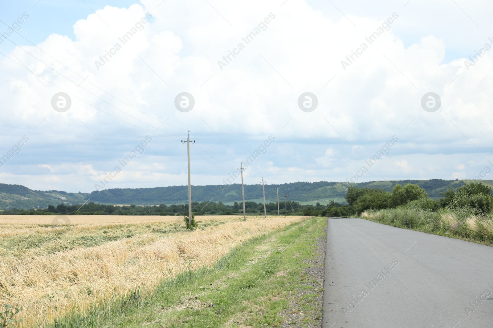 Beautiful wheat field and road under cloudy sky Photo of Beautiful wheat field and road under cloudy sky