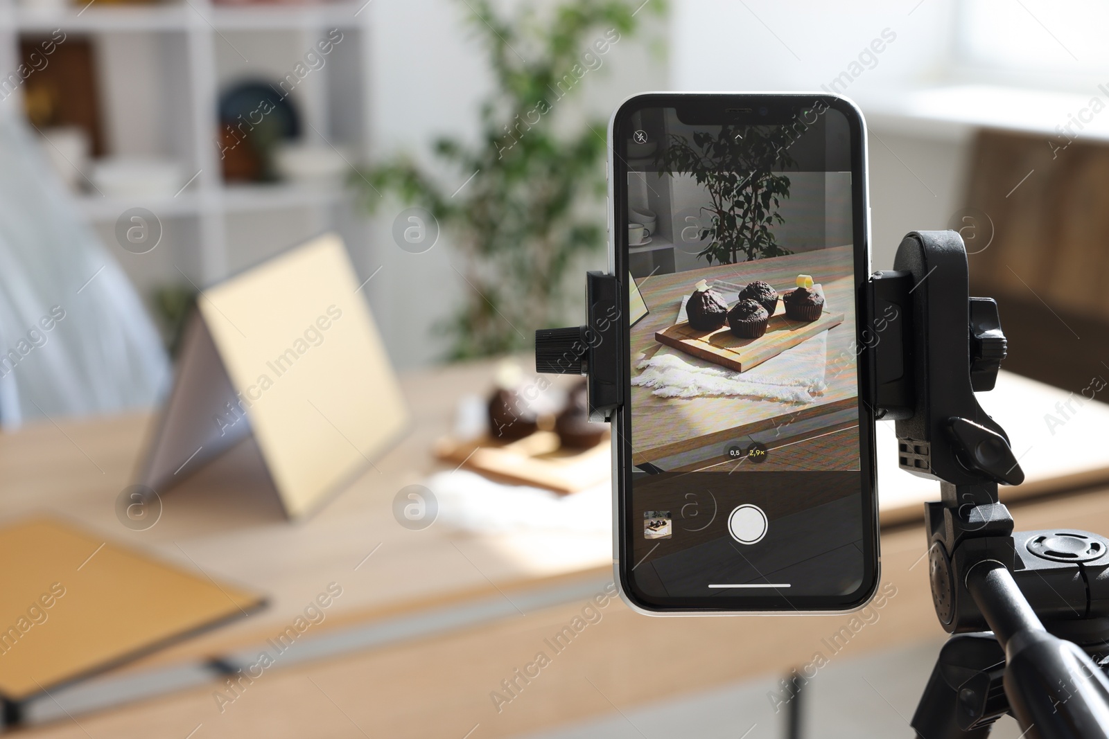 Shooting chocolate muffins with smartphone in studio, selective focus. Professional food photography Photo of Shooting chocolate muffins with smartphone in studio, selective focus. Professional food photography
