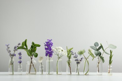 Photo of Different plants in glass bottles of essential oils on white table against light grey background