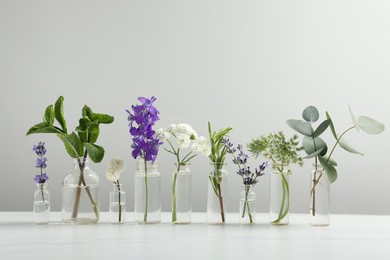 Photo of Different plants in glass bottles of essential oils on white table against light grey background