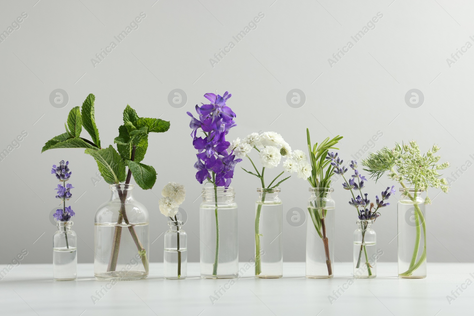 Photo of Different plants in glass bottles of essential oils on white table against light grey background