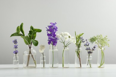 Photo of Different plants in glass bottles of essential oils on white table against light grey background