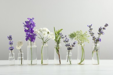 Photo of Different plants in glass bottles of essential oils on white table against light grey background
