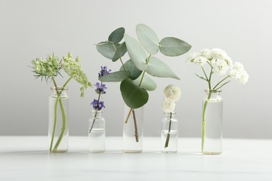 Photo of Different plants in glass bottles of essential oils on white table against light grey background