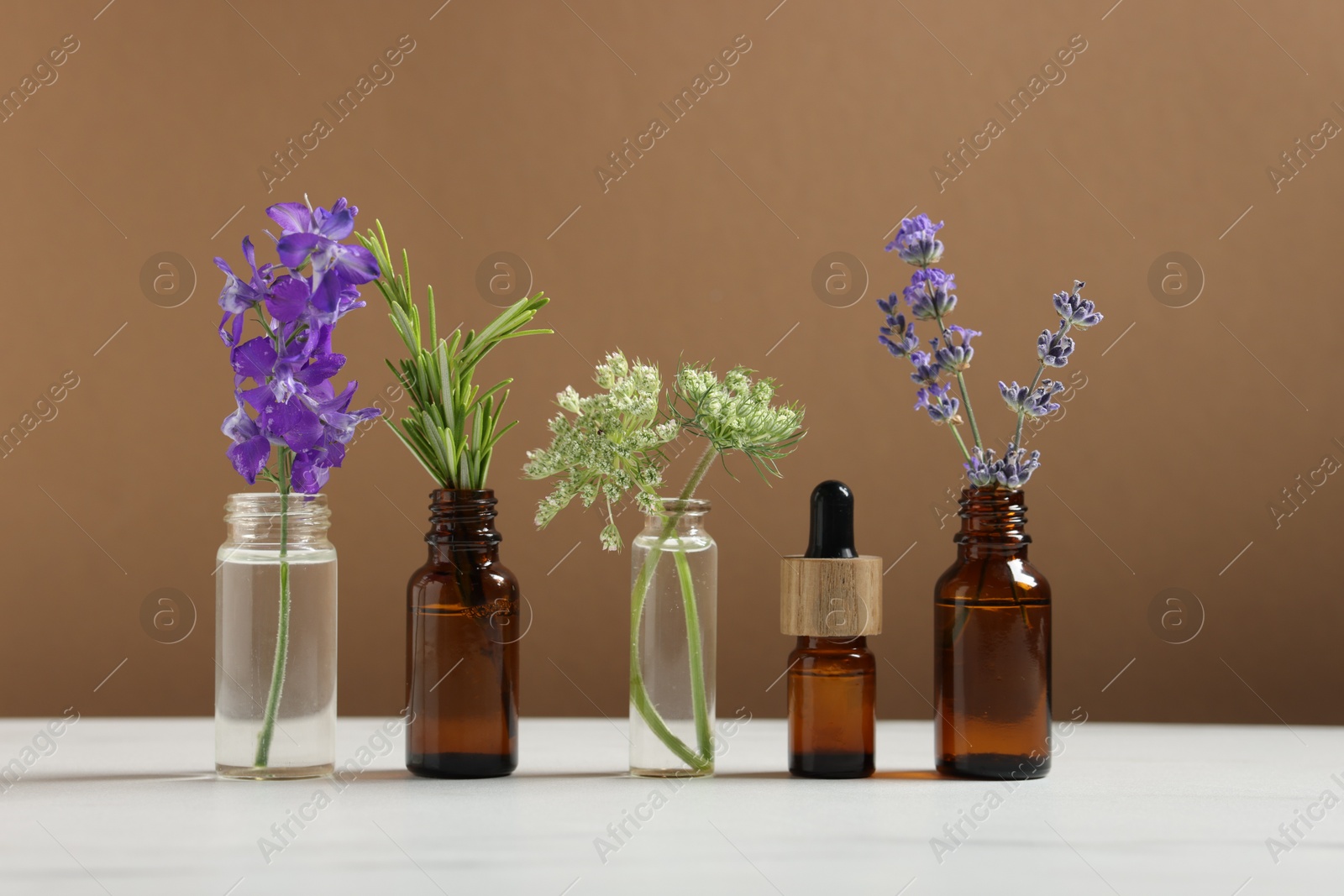 Photo of Different herbs in glass bottles and essential oil on white table against brown background