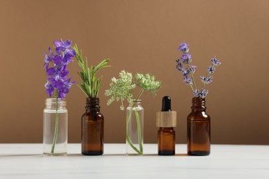 Photo of Different herbs in glass bottles and essential oil on white table against brown background