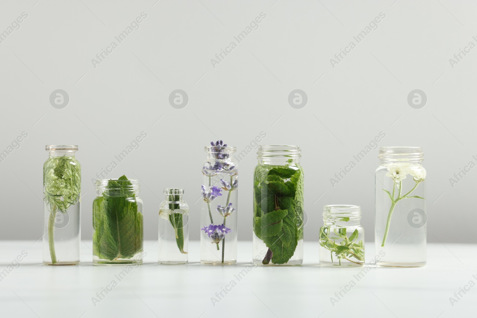 Photo of Different plants in glass bottles of essential oils on white table against light grey background