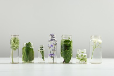 Photo of Different plants in glass bottles of essential oils on white table against light grey background