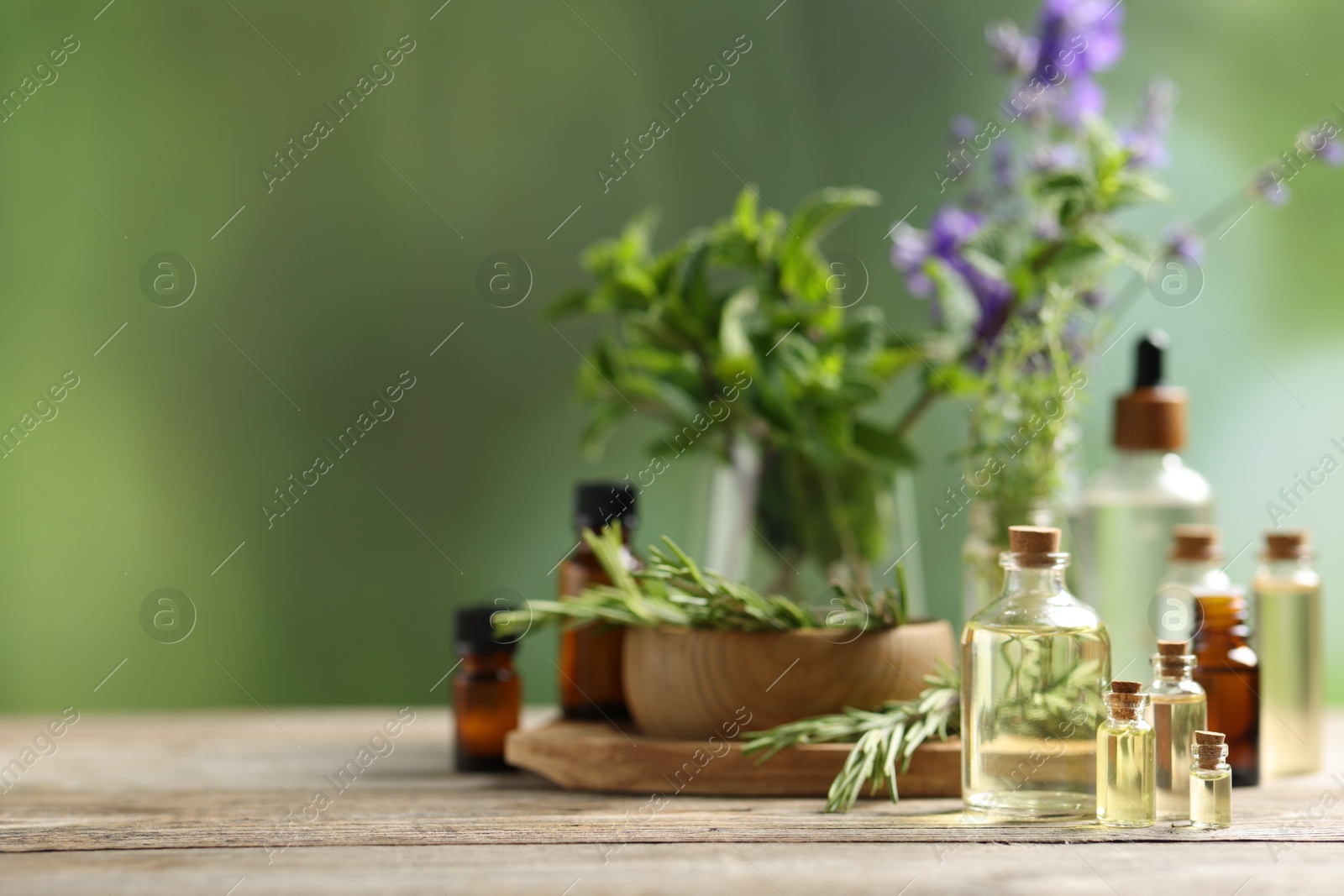 Photo of Bottles of essential oils and different herbs on wooden table outdoors, space for text
