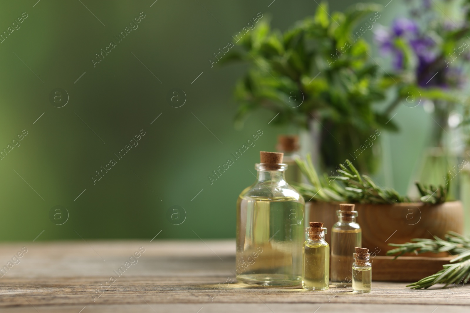 Photo of Bottles of essential oils and different herbs on wooden table outdoors, space for text