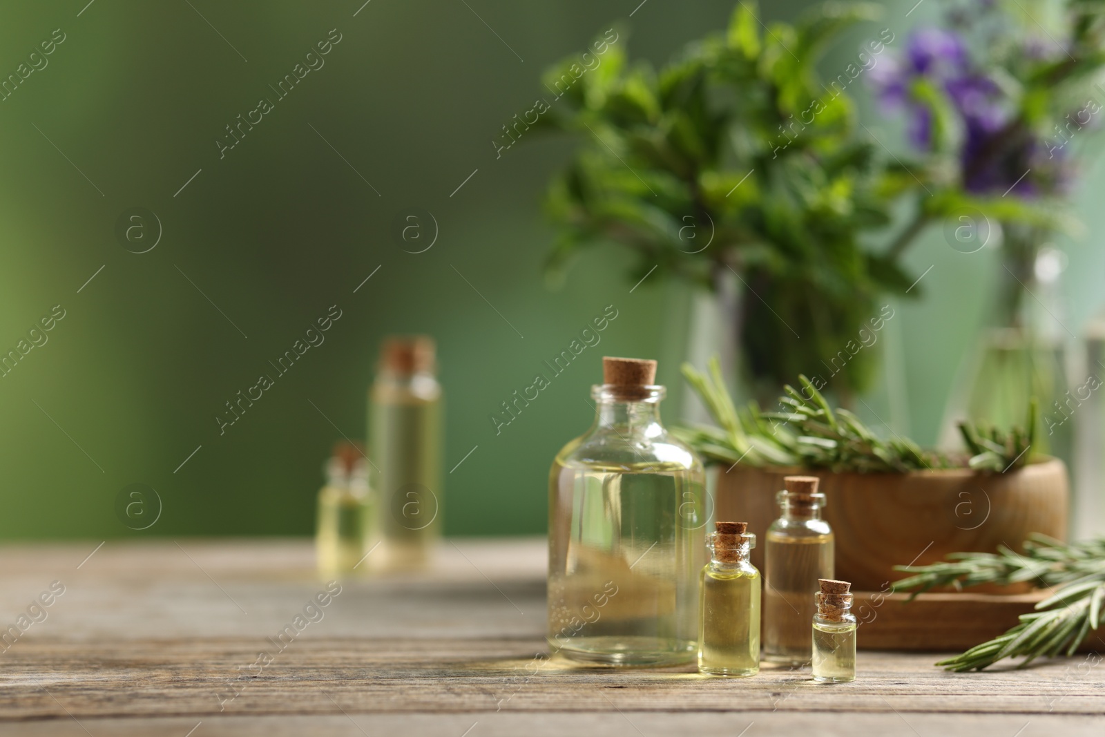 Photo of Bottles of essential oils and different herbs on wooden table outdoors, space for text
