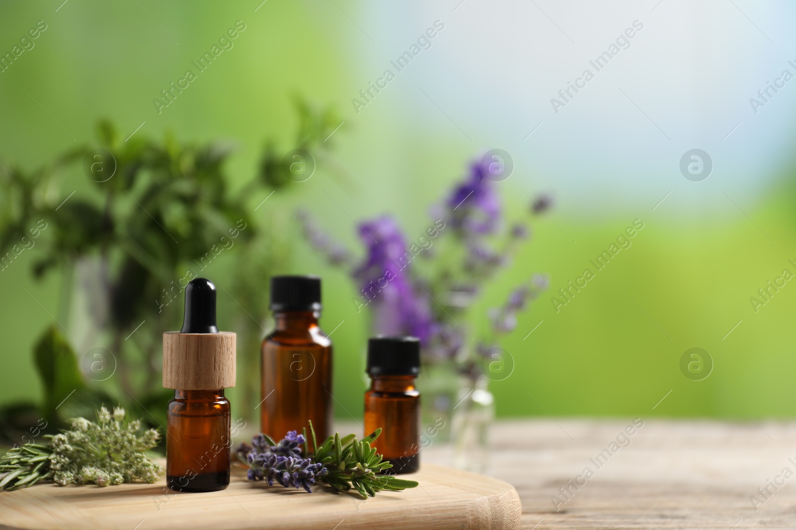Photo of Bottles of essential oils and different herbs on table outdoors, closeup. Space for text