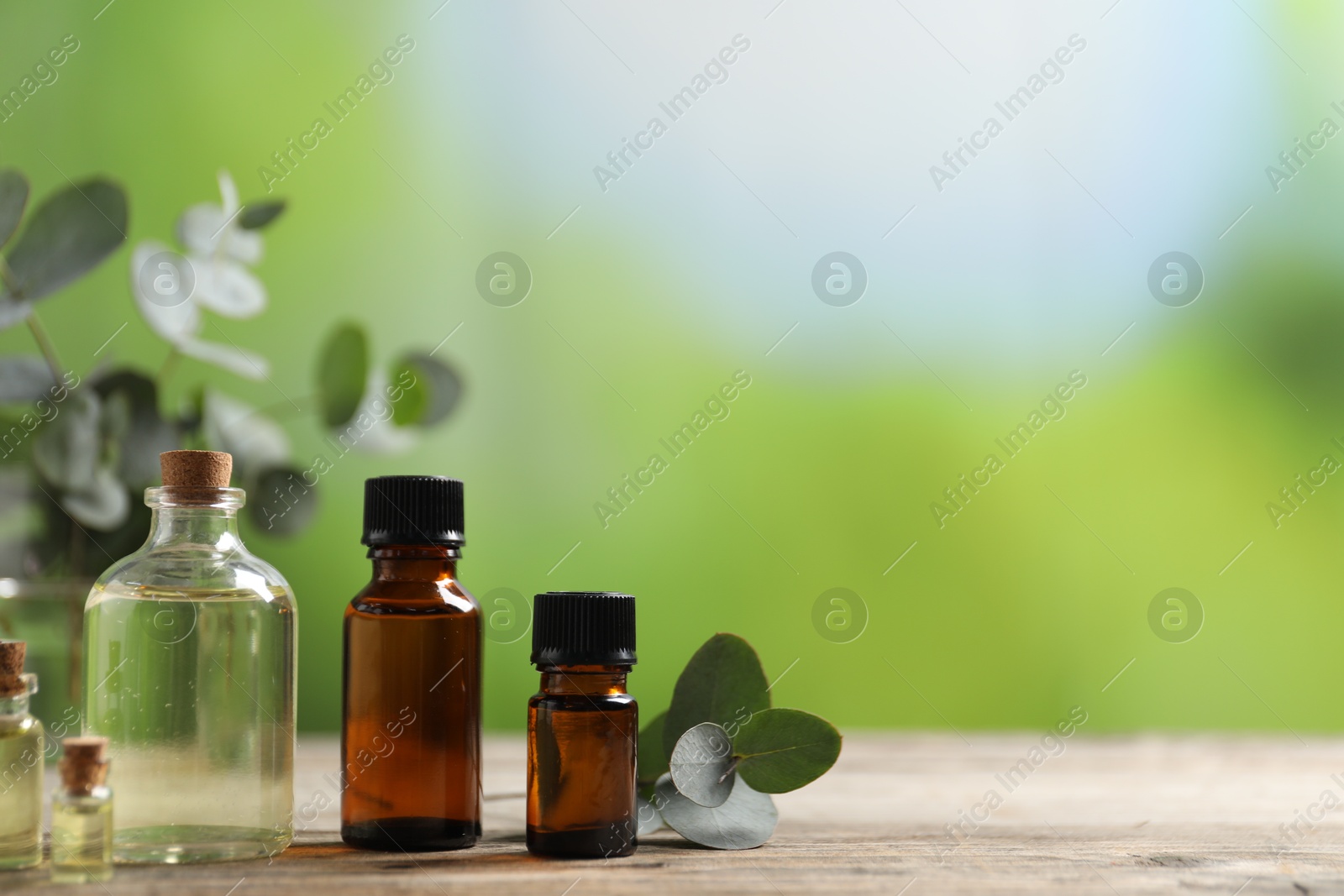 Photo of Bottles of essential oils and eucalyptus branches on wooden table outdoors, closeup. Space for text