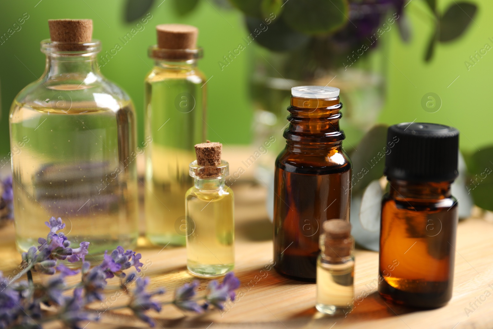 Photo of Bottles of essential oils and different plants on table outdoors, closeup