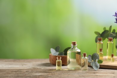 Photo of Bottles of essential oils and eucalyptus leaves on wooden table outdoors, space for text