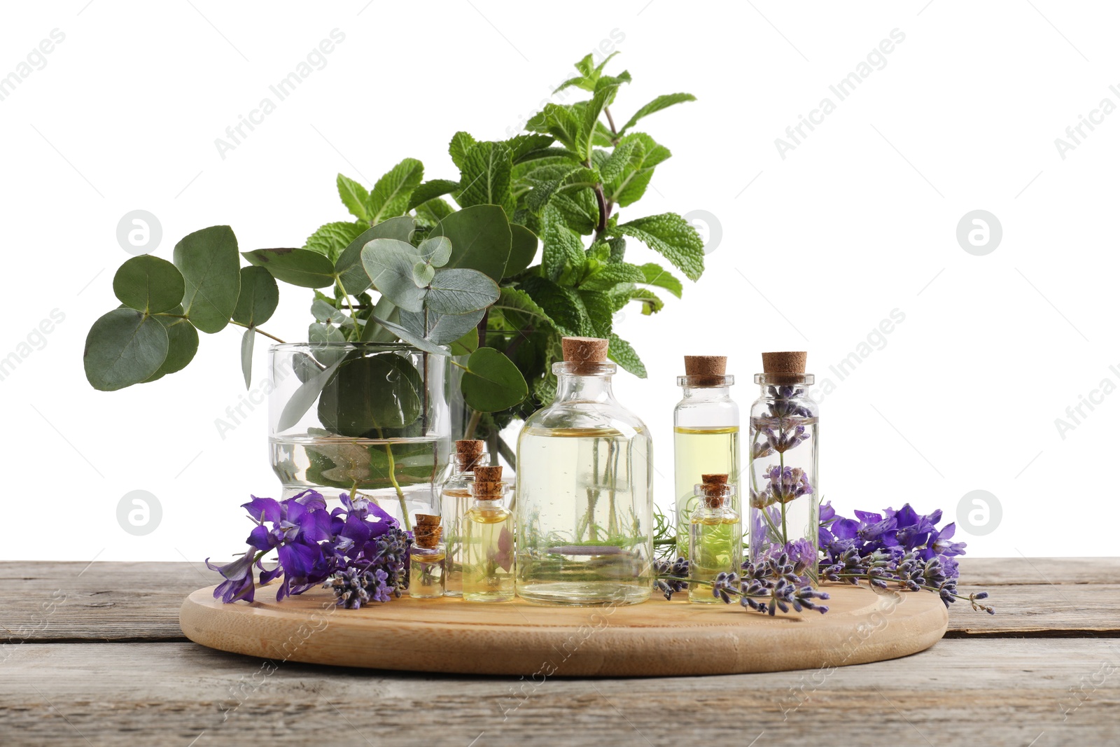 Photo of Bottles of essential oils and different plants on wooden table against white background