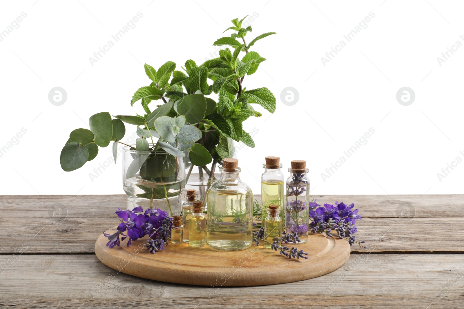 Photo of Bottles of essential oils and different plants on wooden table against white background