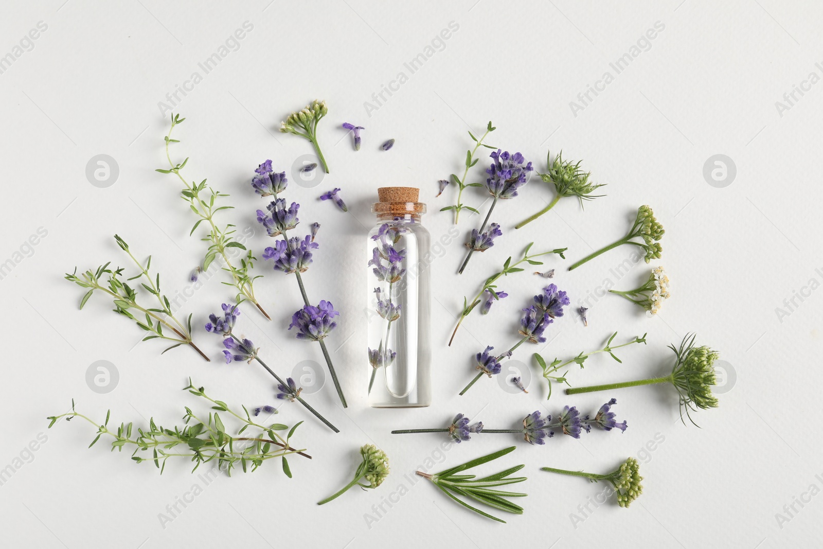 Photo of Essential oil and different plants on white background, flat lay