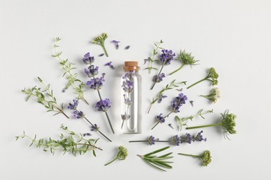 Photo of Essential oil and different plants on white background, flat lay