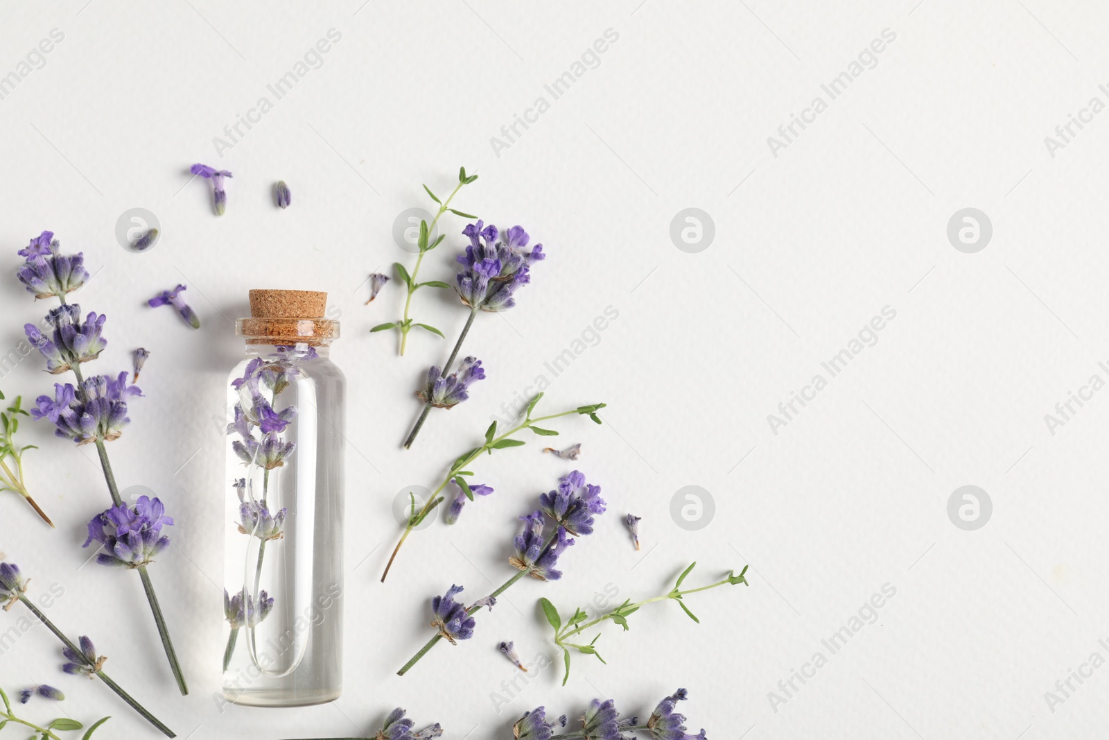 Photo of Essential oil and plants on white background, flat lay. Space for text