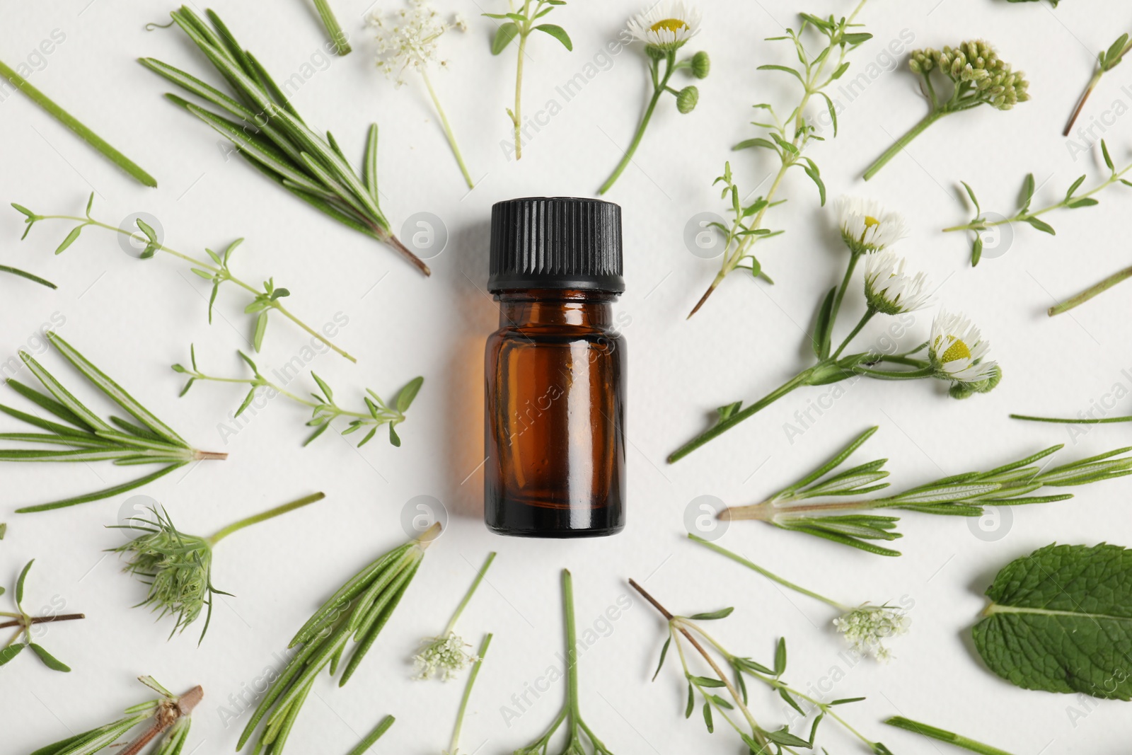 Photo of Essential oil and different plants on white background, flat lay