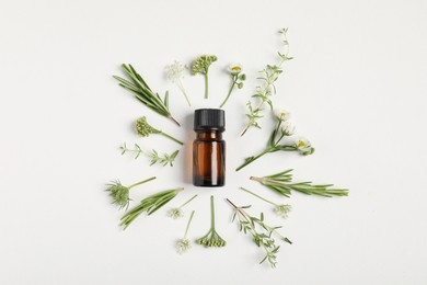 Photo of Essential oil and different plants on white background, flat lay