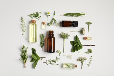 Photo of Essential oils and different plants on white background, flat lay