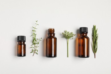 Photo of Essential oils and different plants on white background, flat lay