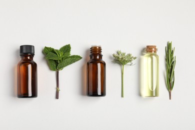 Photo of Essential oils and different plants on white background, flat lay