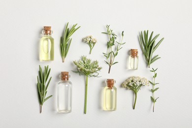 Photo of Essential oils and different plants on white background, flat lay