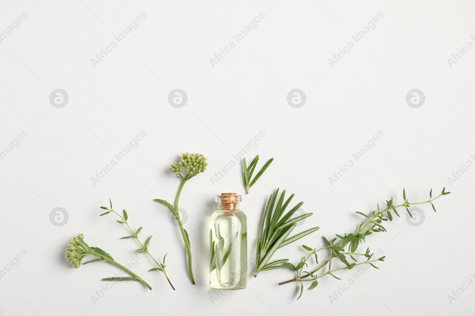 Photo of Essential oil and different plants on white background, flat lay. Space for text