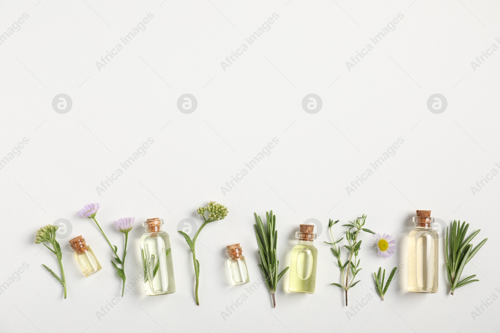 Photo of Essential oils and different plants on white background, flat lay. Space for text