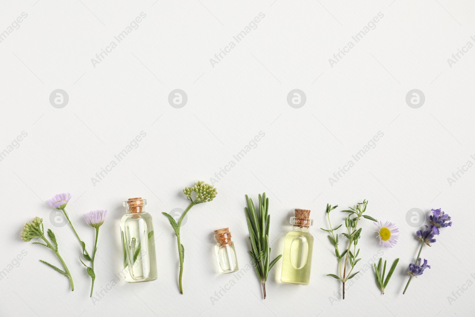 Photo of Essential oils and different plants on white background, flat lay. Space for text