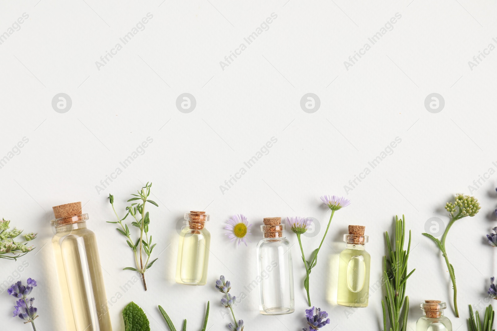 Photo of Essential oils and different plants on white background, flat lay. Space for text