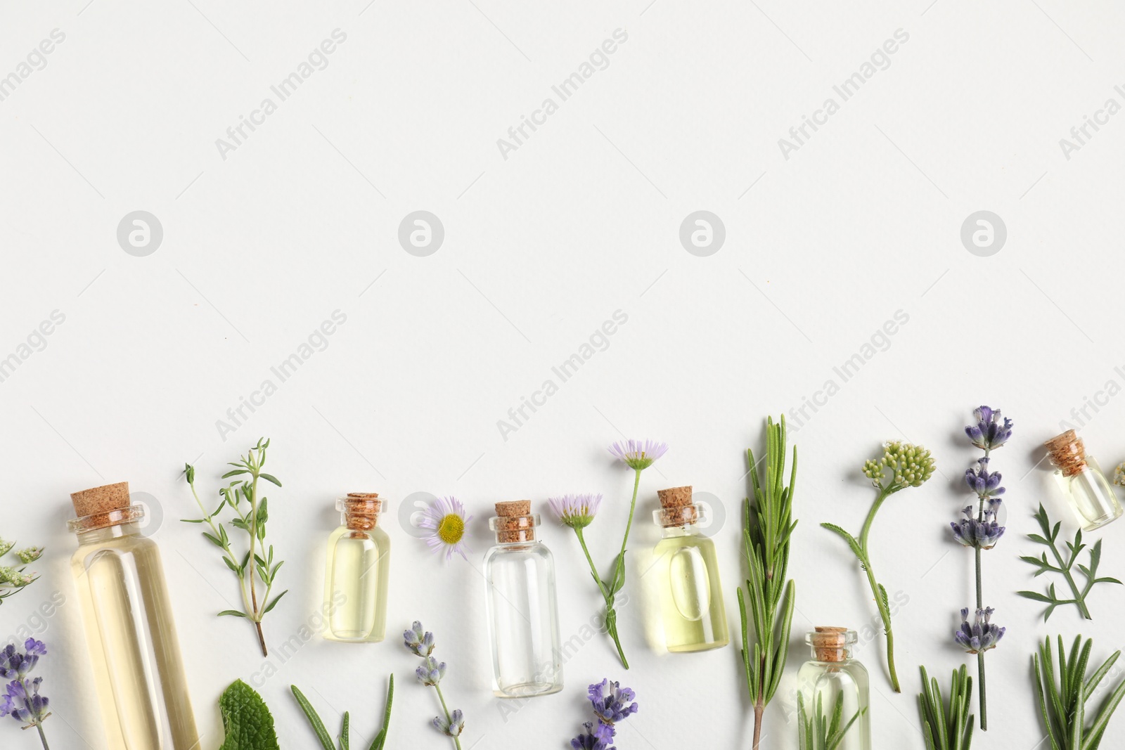 Photo of Essential oils and different plants on white background, flat lay. Space for text