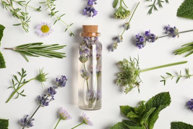 Photo of Essential oil and different plants on white background, flat lay