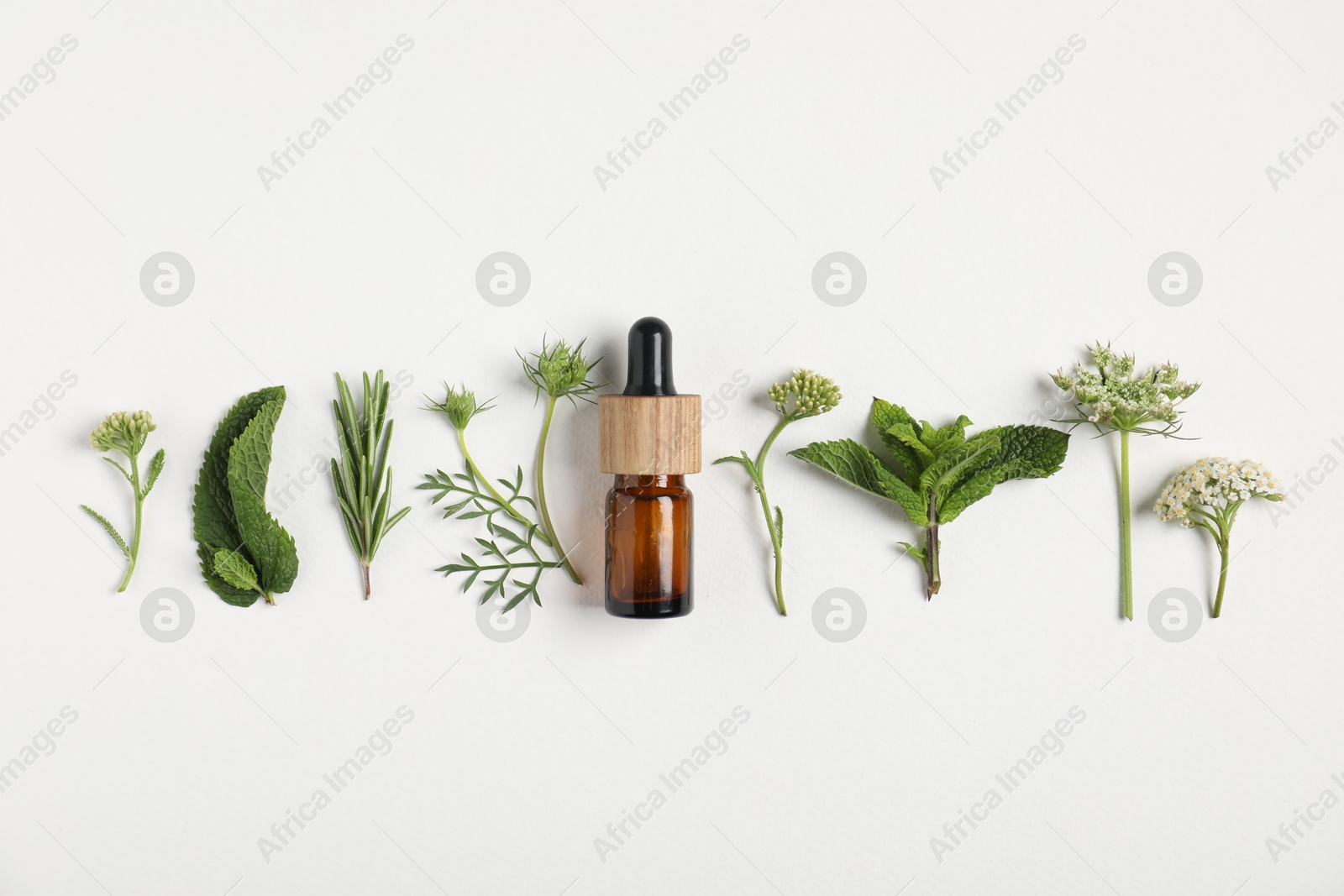 Photo of Essential oil and different plants on white background, flat lay