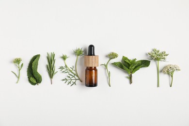 Photo of Essential oil and different plants on white background, flat lay