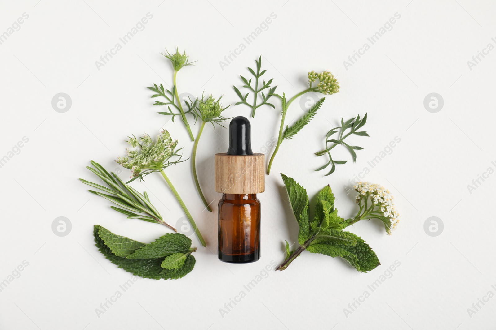 Photo of Essential oil and different plants on white background, flat lay
