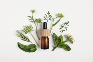 Photo of Essential oil and different plants on white background, flat lay