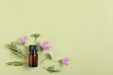 Photo of Essential oil and plants on green background, flat lay. Space for text