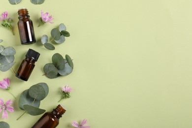 Photo of Essential oils and plants on green background, flat lay. Space for text