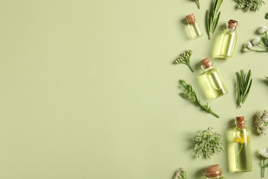 Photo of Essential oils and different plants on green background, flat lay. Space for text