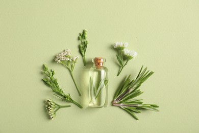 Photo of Essential oil and different plants on green background, flat lay