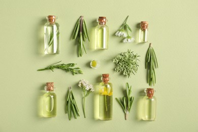 Photo of Essential oils and different plants on green background, flat lay