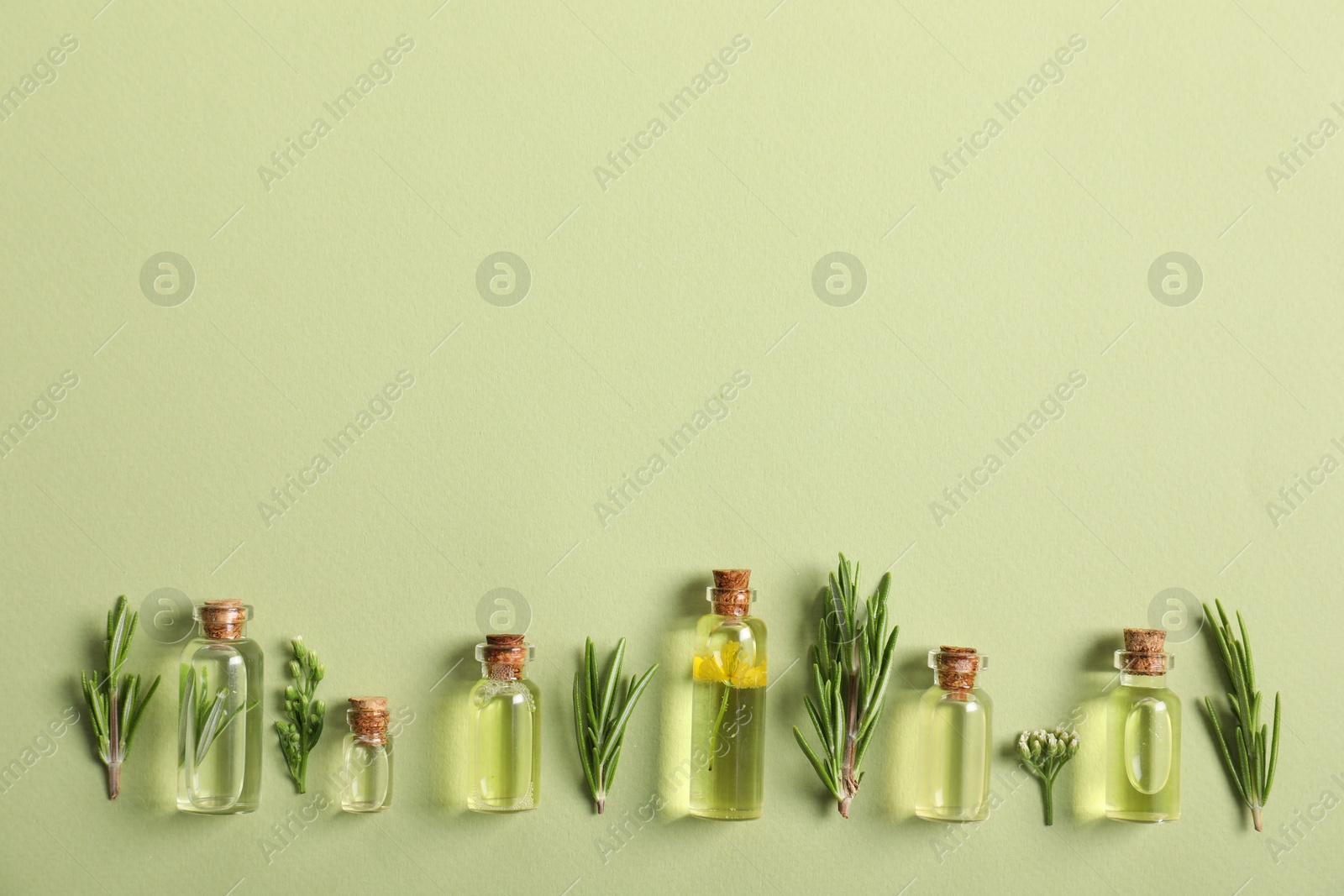 Photo of Essential oils and different plants on green background, flat lay. Space for text