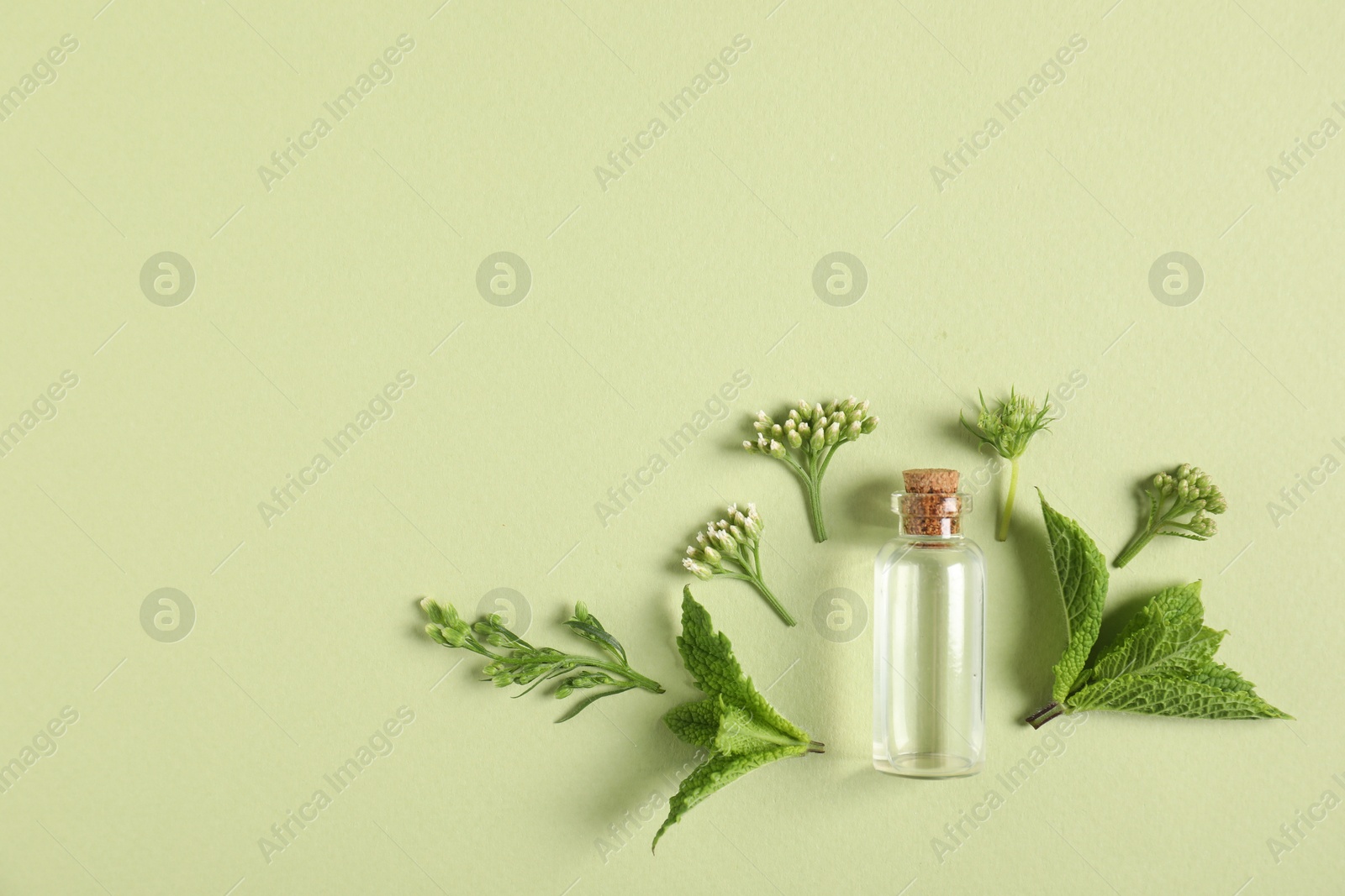 Photo of Essential oil and different plants on green background, flat lay. Space for text