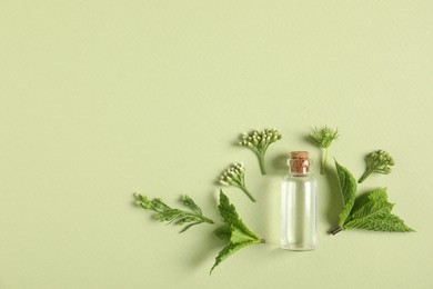 Photo of Essential oil and different plants on green background, flat lay. Space for text